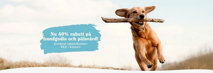 5 Skäl Till Varför Hundar Sniffar Sina Egna Rumpor + 7 Faror